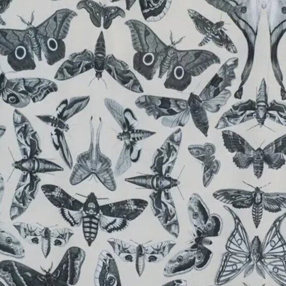 Dolls Kill Widow Divine Spirit World Lace Trim Moth Print Dress NWT - Picture 5 of 7